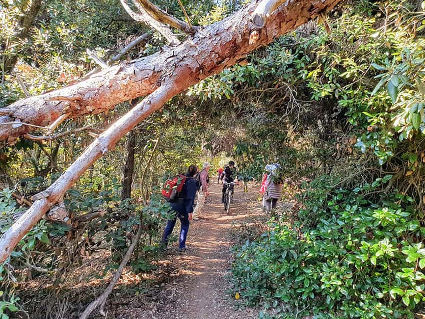 image n.5 of Ancona Riviera del Conero: Hiking Tour activity in Sirolo, uploaded by supplier