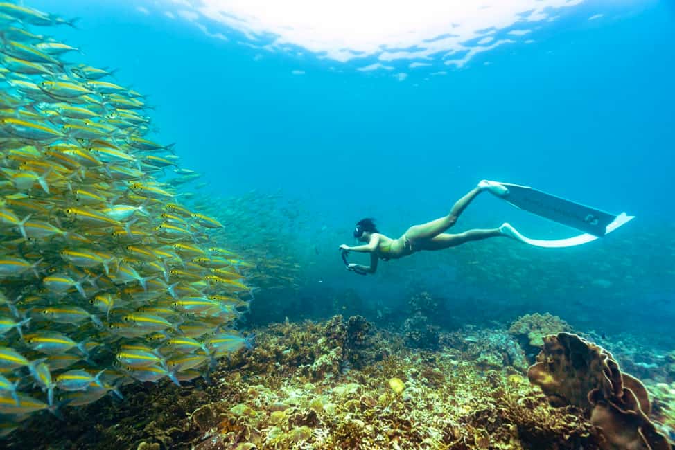 image n.31 of Ko Tao: Tao-Nangyuan Snorkeling Day Trip with Meals & Sunset activity in Ko Tao, uploaded by supplier