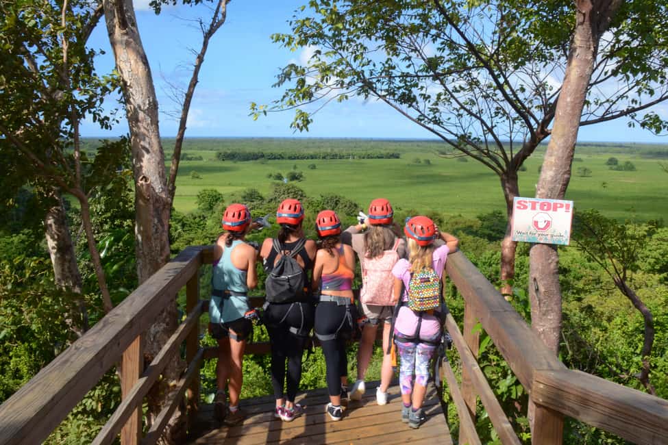 Obraz nr 19 z atrakcji San Juan: Ecoadventure Ziplining w pobliżu miasta w San Juan, przesłany przez organizatora