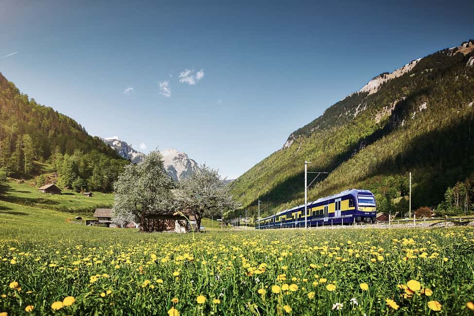 imagen n.º 3 de Excursión de un día desde Zúrich: Aventura en la Primera Montaña de Grindelwald actividad en Grindelwald, subida por el proveedor
