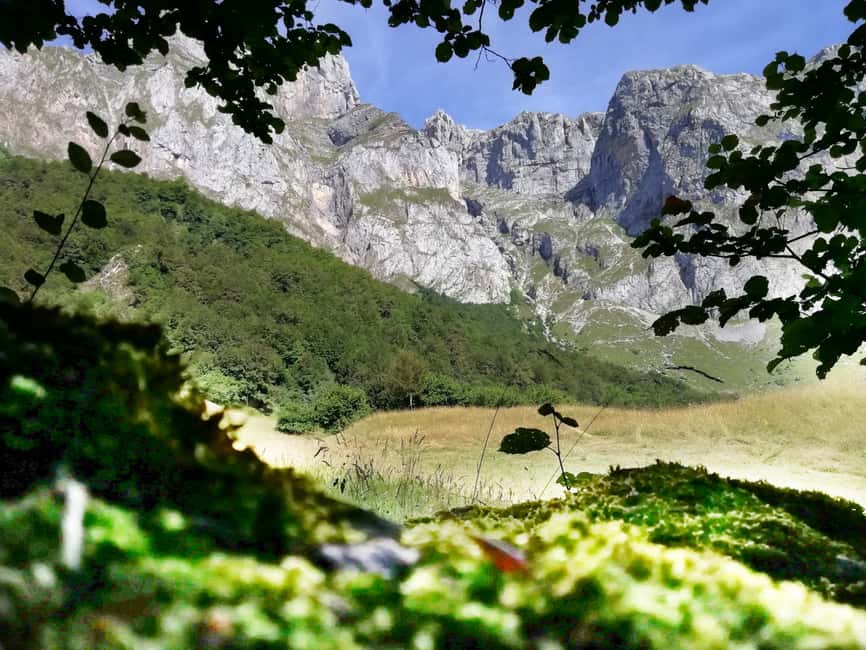 imagen n.º 9 de Santander: Excursión de un día a Picos, Monasterio de Santo Toribio y Potes actividad en Principado de Asturias, subida por el proveedor