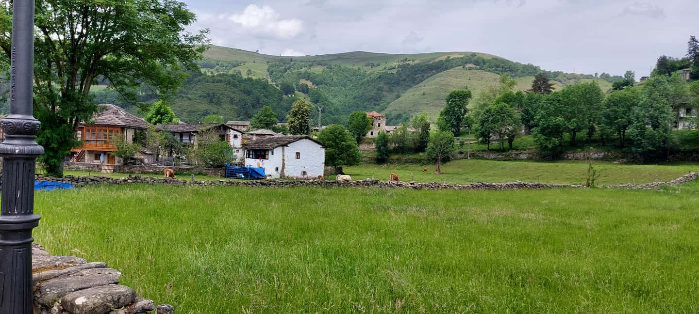 изображение номер 2 мероприятия Из Сантандера: гастрономический тур в городе Сантонья, загруженное организатором