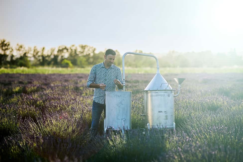 imagen n.º 3 de Visita a los campos de lavanda y la destilería entre Nimes y Arles actividad en Bellegarde, subida por el proveedor