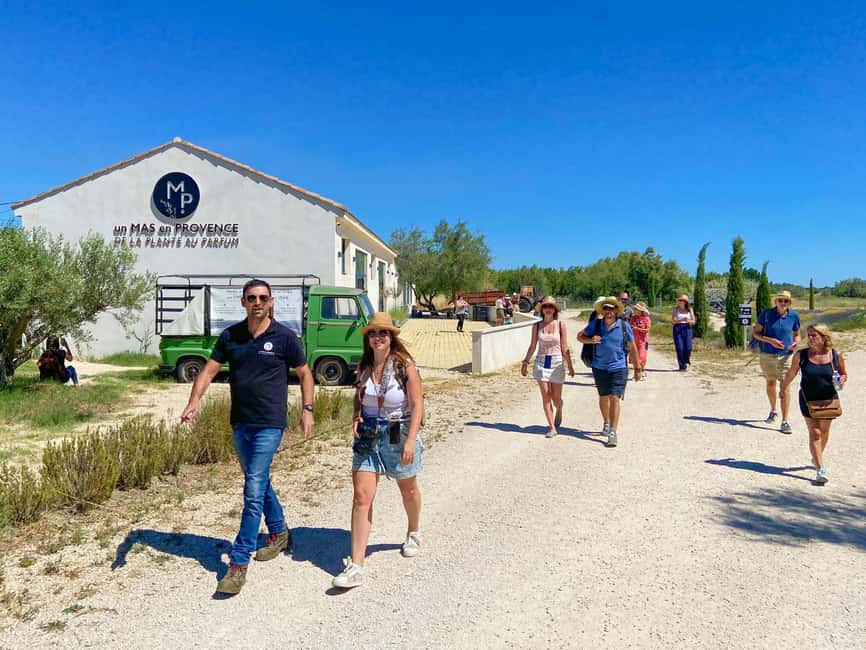 imagen n.º 1 de Visita a los campos de lavanda y la destilería entre Nimes y Arles actividad en Bellegarde, subida por el proveedor
