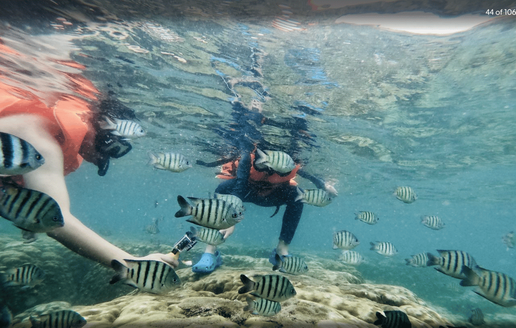 image n.6 of Phu Quoc: Speedboat Tour of 4 Islands with Snorkeling & BBQ activity in Vietnam, uploaded by supplier