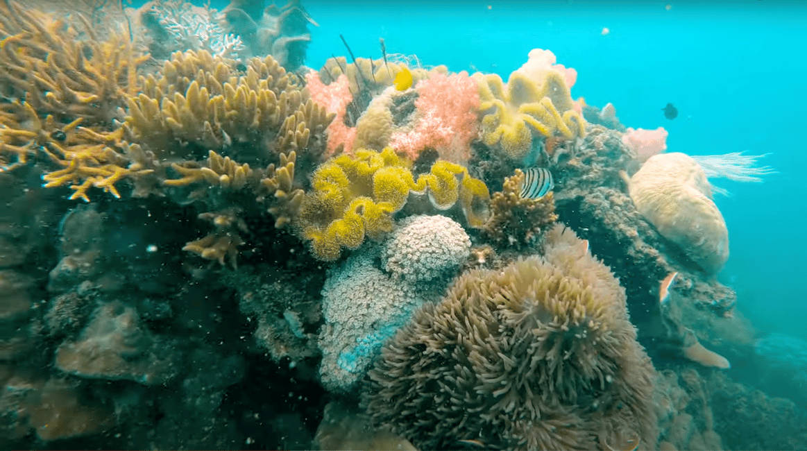 image n.3 of Phu Quoc: Speedboat Tour of 4 Islands with Snorkeling & BBQ activity in Vietnam, uploaded by supplier