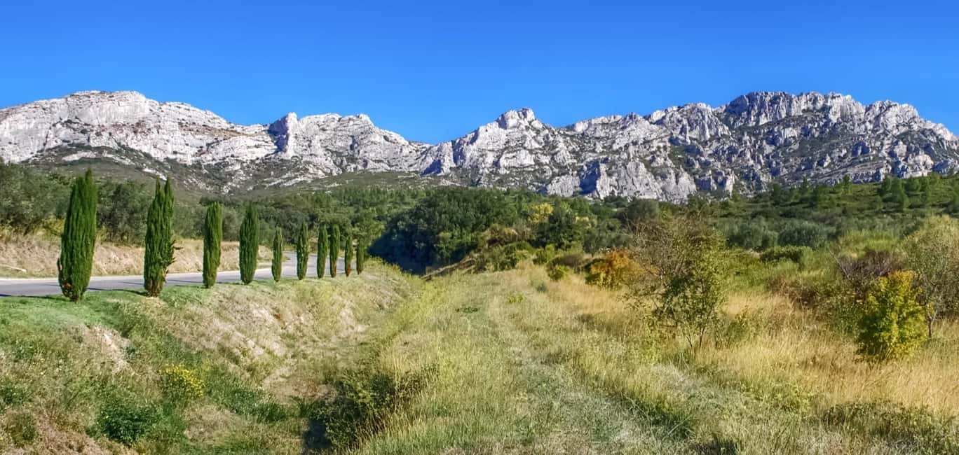 imagem n.1 de De Marselha: Excursão de 1 dia aos vinhos de Les Baux de Provence atividade em Saint-Rémy-de-Provence, carregada pelo fornecedor
