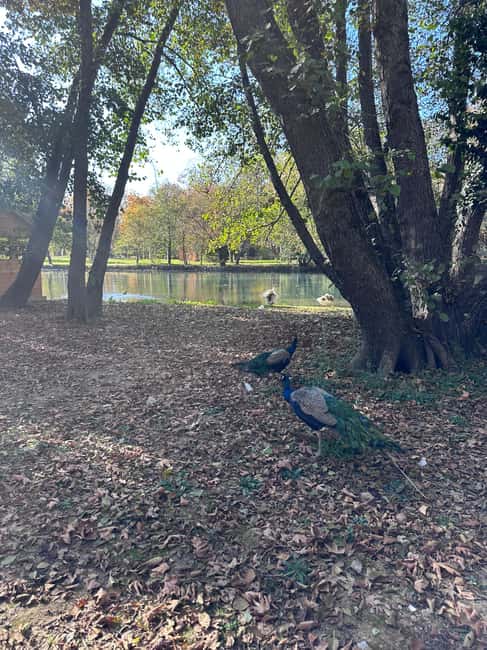 Bild Nr. 20 von Von Tirana: Ohrid-See, Drilon, Lin, Pogradec mit Mittagessen Aktivität in St. Naum, hochgeladen vom Anbieter