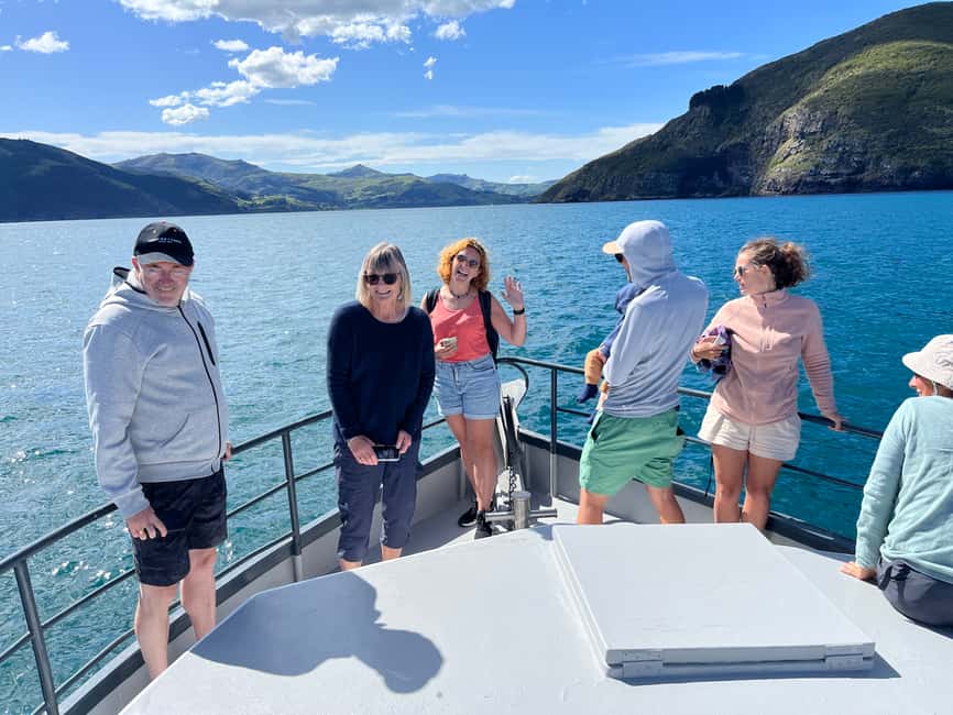 image n.7 of Akaroa: Scenic Coastline Wildlife Cruise activity in South Island, uploaded by supplier