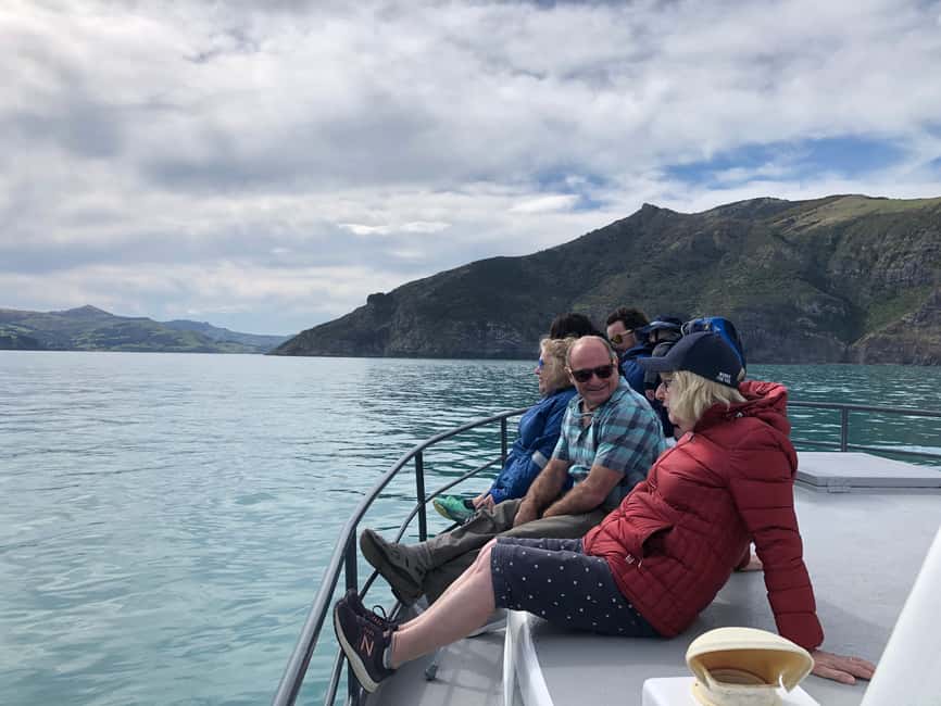 image n.10 of Akaroa: Scenic Coastline Wildlife Cruise activity in South Island, uploaded by supplier