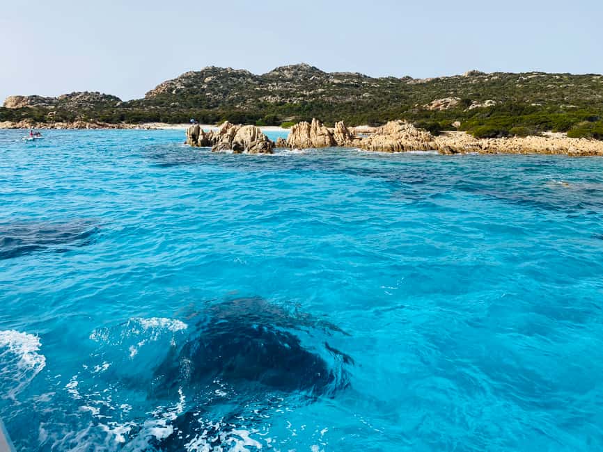 image n.14 of Olbia: Maddalena Archipelago Boat Tour with Minibus Transfer activity in Sardinia, uploaded by supplier