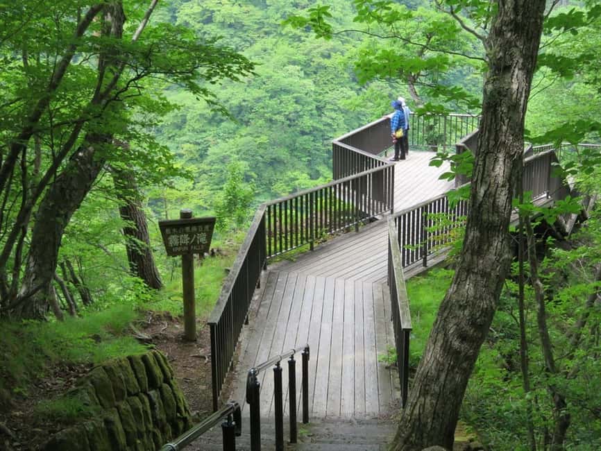 Immagine nº 11 di I maestosi paesaggi di Nikko: Tour privato guidato attività a Nikkō, caricata dal fornitore