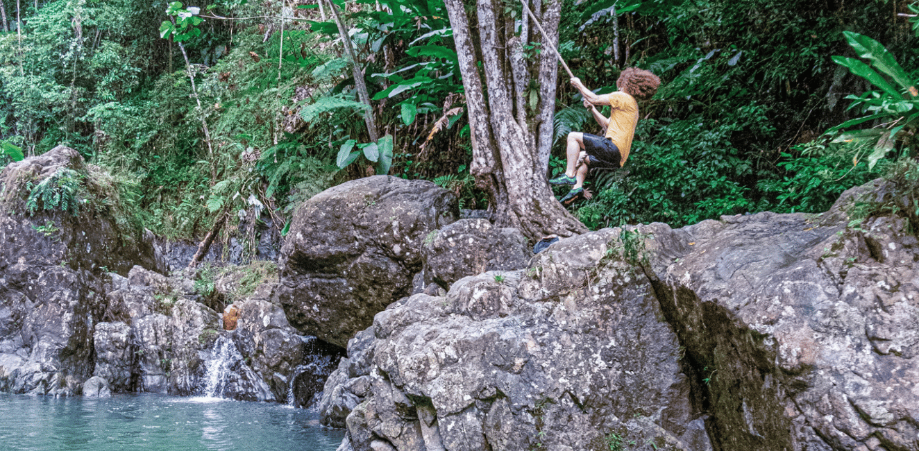 billede nr.7 af aktiviteten (Privat) El Yunque Tour - Transp inkluderet 7AM eller 12PM i Río Grande, Puerto Rico, uploadet af udbyder