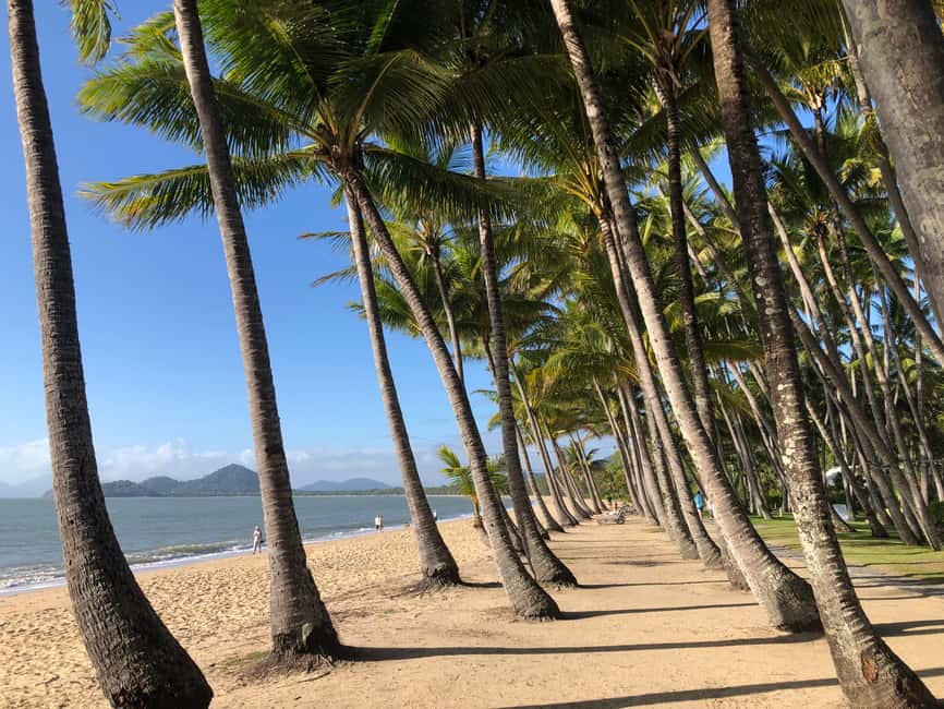 image n.4 of From Port Douglas: Kuranda via Scenic Rail or Skyrail Option activity in Kuranda, uploaded by supplier