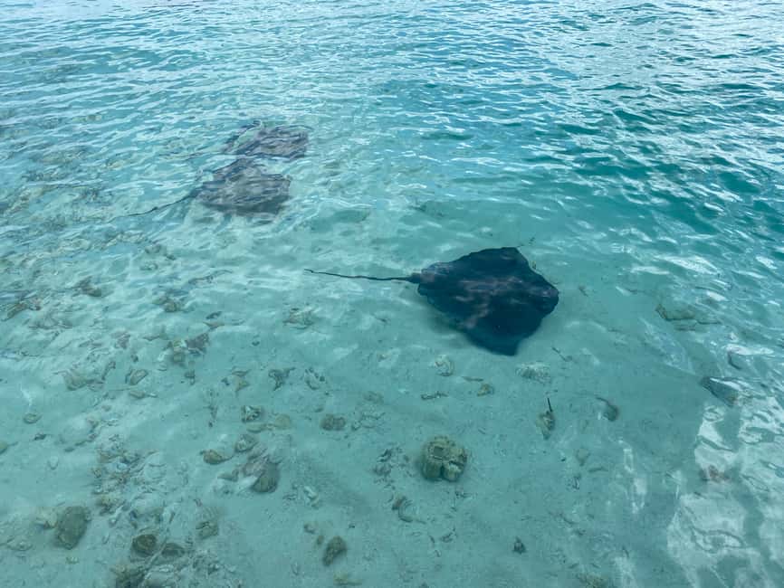 imagem n.14 de San Andrés: passeio de barco pela ilha atividade em Ilha de San Andrés, carregada pelo fornecedor