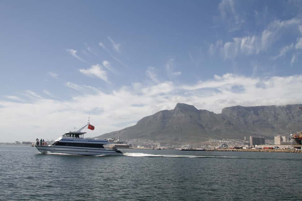 image n.5 of Cape Town: Scenic 1-Hour Coastal Catamaran Cruise activity in Cape Town, uploaded by supplier