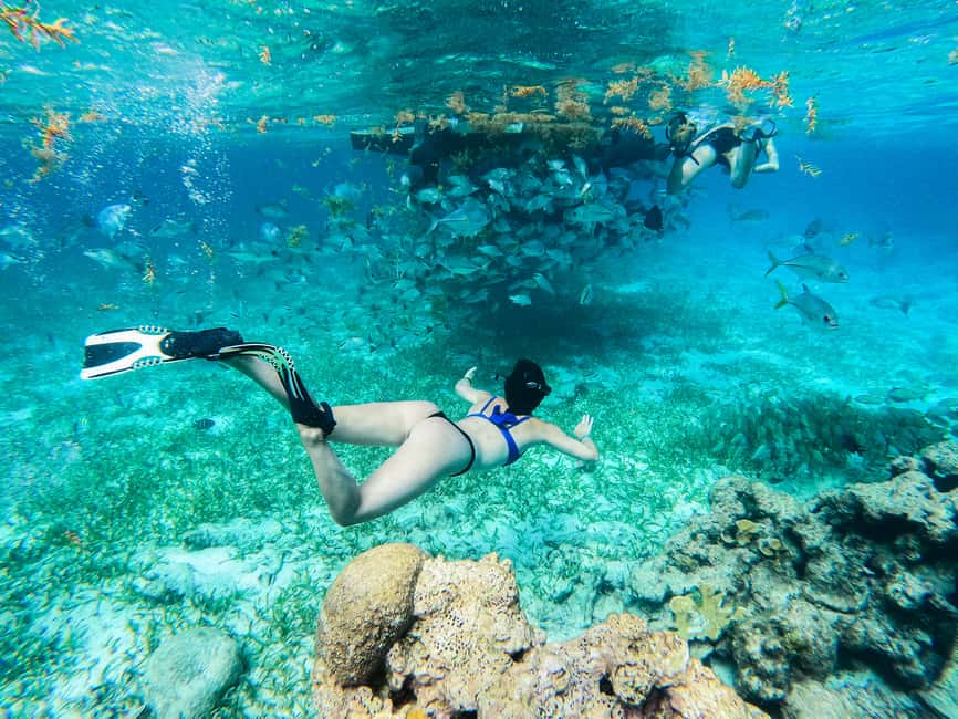 image n.6 of Caye Caulker: Hol Chan Marine Reserve 7-Stop Snorkeling Tour activity in San Pedro, Belize, uploaded by supplier