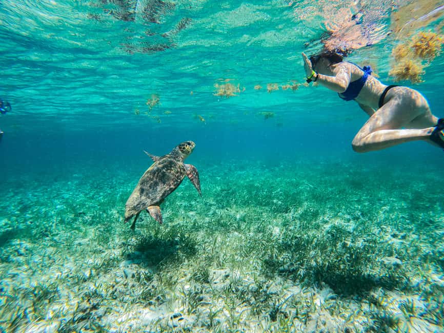 image n.8 of Caye Caulker: Hol Chan Marine Reserve 7-Stop Snorkeling Tour activity in San Pedro, Belize, uploaded by supplier