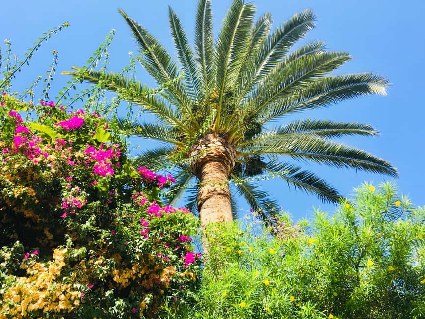 Image N°3 de Ibiza : Visite guidée de la vieille ville activité à Ibiza (ville), publiée par le prestataire