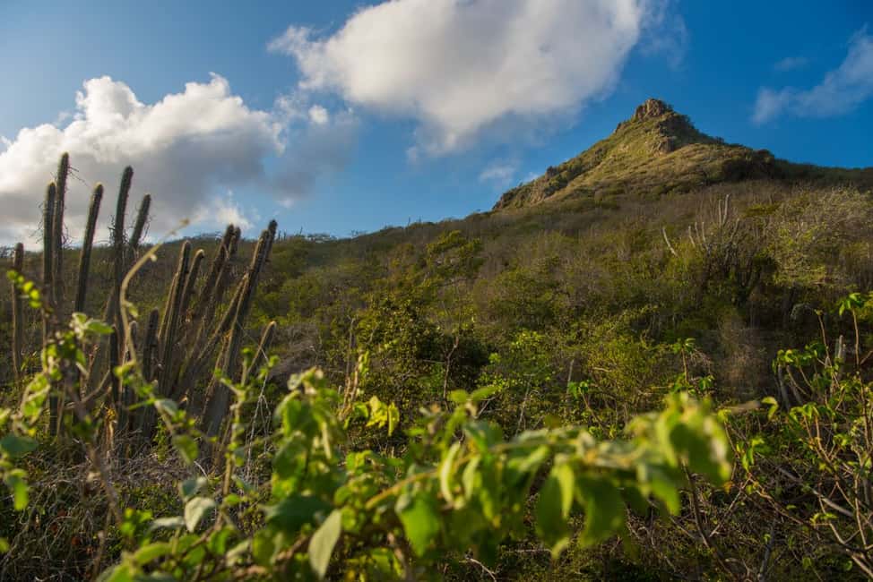afbeelding n.10 van Curaçao: eilandtour roadtrip via mobiele app activiteit in Willemstad, Curaçao, geüpload door aanbieder