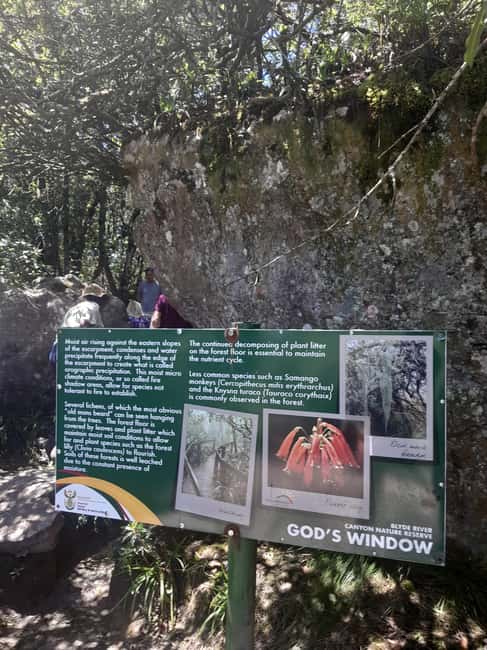 imagem n.41 de Parque Nacional Kruger: Excursão de 4 dias para o melhor safari atividade em Pilgrim's Rest, África do Sul, carregada pelo fornecedor