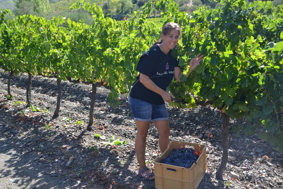 image n.5 of Salou: Bike Tour with Wine Tasting activity in Salou, uploaded by supplier
