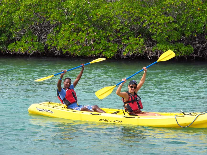 Immagine nº 13 di Saint Thomas: Tour delle mangrovie in kayak e snorkeling attività a Red Hook, Saint Thomas, caricata dal fornitore