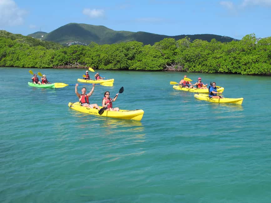 Immagine nº 7 di Saint Thomas: Tour delle mangrovie in kayak e snorkeling attività a Red Hook, Saint Thomas, caricata dal fornitore