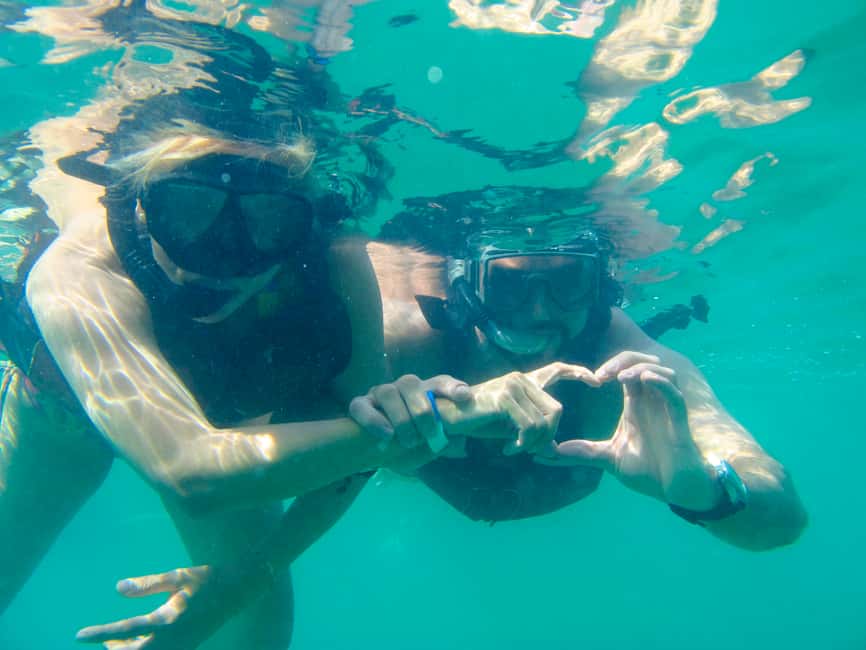 Immagine nº 11 di Saint Thomas: Tour delle mangrovie in kayak e snorkeling attività a Red Hook, Saint Thomas, caricata dal fornitore