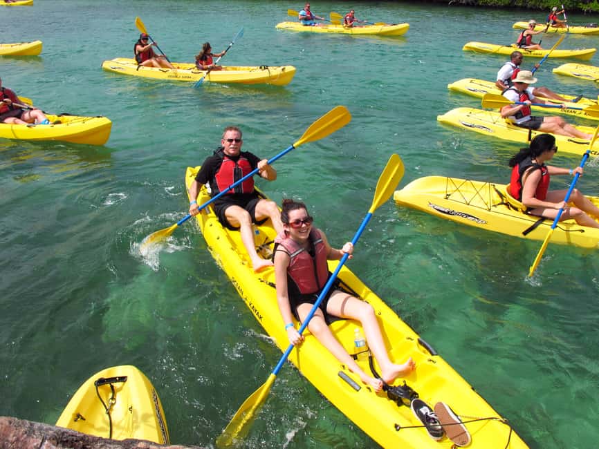 image n.7 of St. Thomas Mangrove Kayak, Hike, & Snorkel 3-Hour Tour activity in Red Hook, Saint Thomas, uploaded by supplier