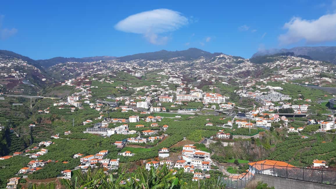 image n.4 of Madeira: Private Banana Farm Tour with Pickup activity in Seixal, uploaded by supplier