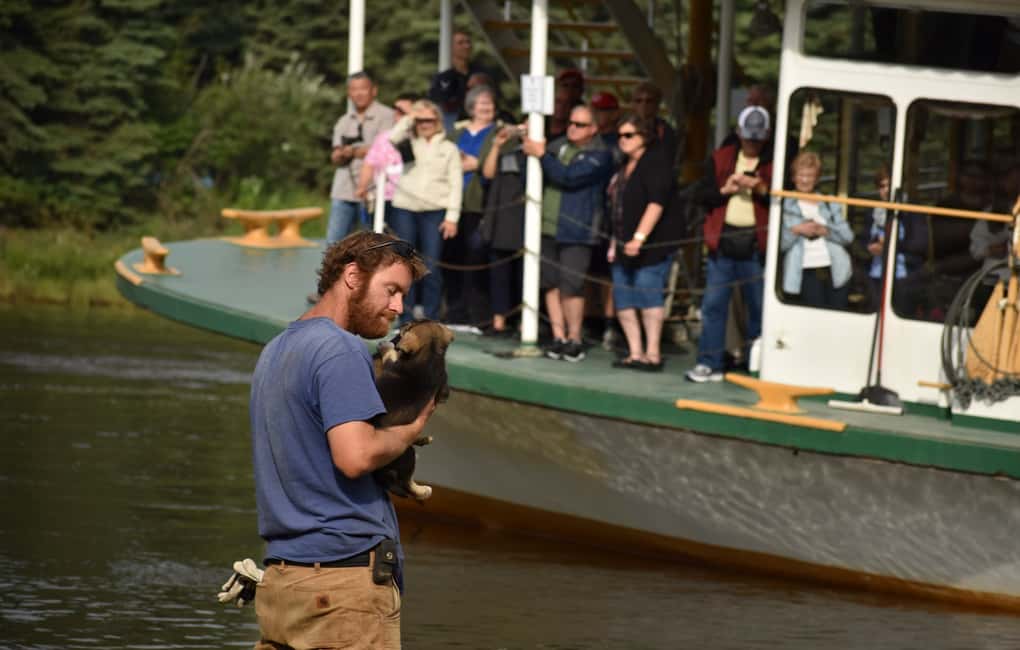 image n.4 of Fairbanks: Riverboat Cruise and Local Village Tour activity in Fairbanks, uploaded by supplier