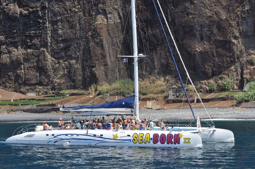 imagem n.1 de Funchal: Cruzeiro de observação de baleias e golfinhos em catamarã atividade em Câmara de Lobos, carregada pelo fornecedor