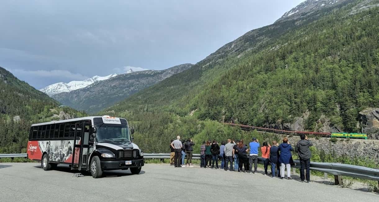 image n.5 of From Skagway: White Pass and Yukon Suspension Bridge Tour activity in British Columbia, uploaded by supplier