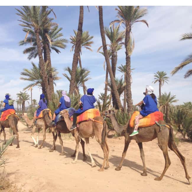 imagen n.º 1 de Alrededores de Marrakech: Paseo en camello por palmerales con té incluido actividad en Marrakech, subida por el proveedor