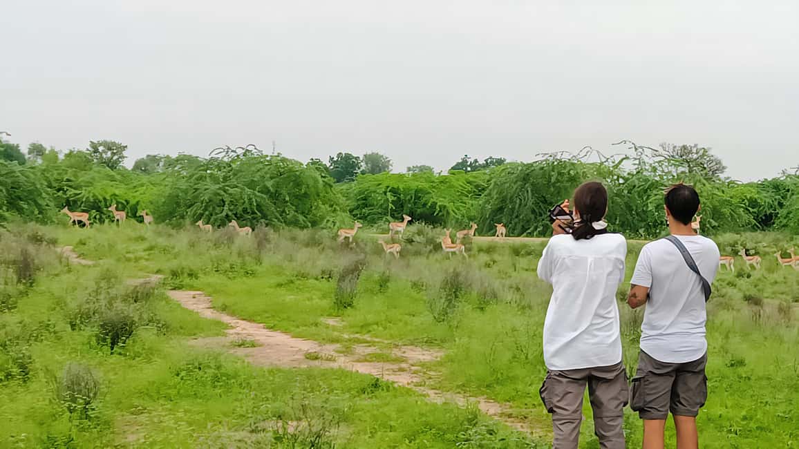 image n.11 of Bishnoi Village :Safari tour activity in Jodhpur, uploaded by supplier