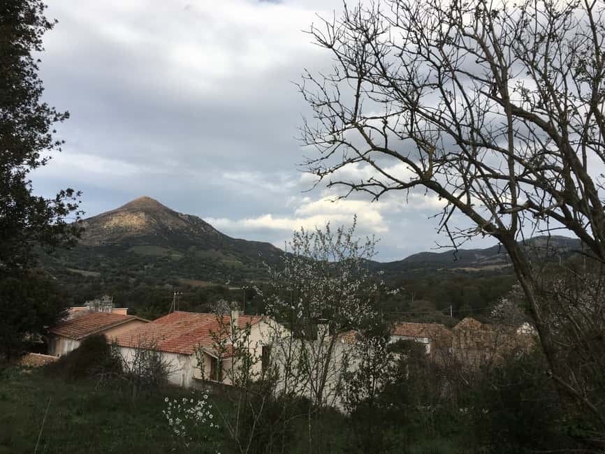 Immagine nº 13 di Olbia: laboratorio guidato di pasta sarda attività a Olbia, caricata dal fornitore