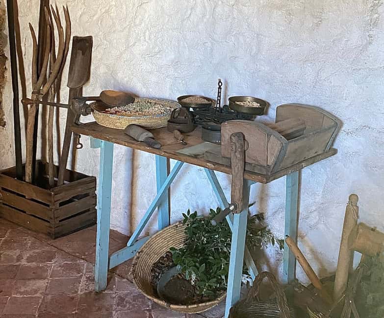 Immagine nº 21 di Olbia: laboratorio guidato di pasta sarda attività a Olbia, caricata dal fornitore