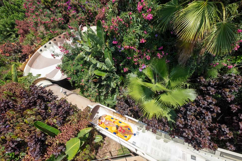 image n.25 of Loro Parque and Siam Park Combined Admission Tickets activity in Puerto de la Cruz, uploaded by supplier
