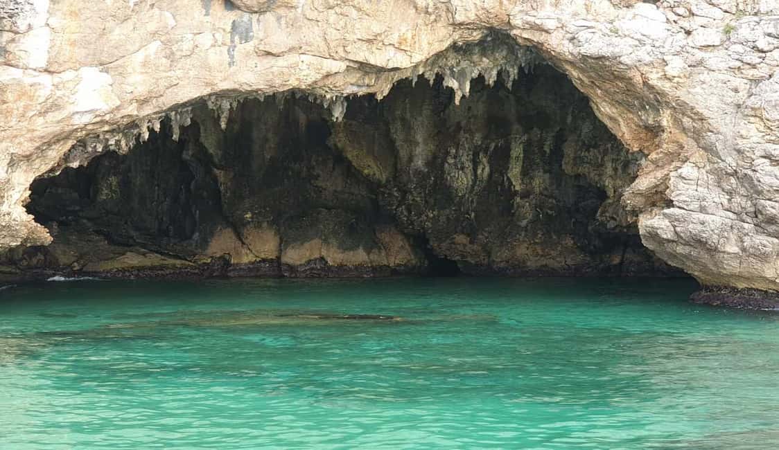 Immagine nº 20 di Sperlonga: Crociera in barca alla Grotta Azzurra con bagno attività a Sperlonga, caricata dal fornitore