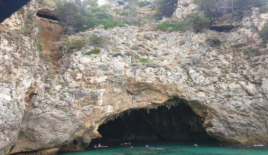 Immagine nº 24 di Sperlonga: Crociera in barca alla Grotta Azzurra con bagno attività a Sperlonga, caricata dal fornitore