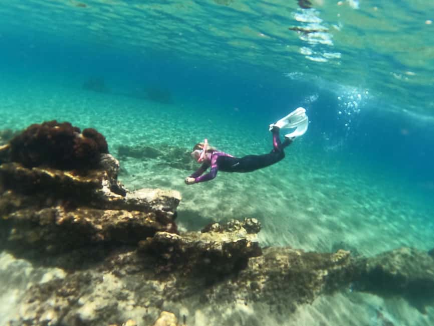 image n.4 of Tenerife: Half-Day Snorkeling Tour activity in Arico, uploaded by supplier