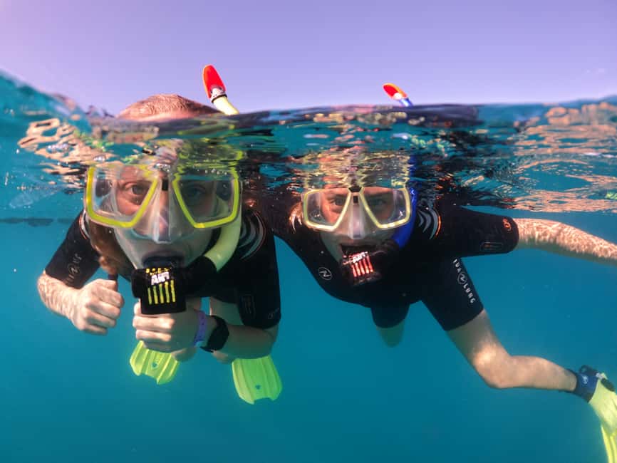 image n.7 of Tenerife: Half-Day Snorkeling Tour activity in Arico, uploaded by supplier