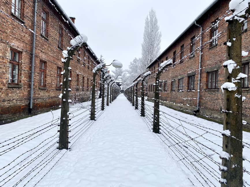 bild nr.15 av Från Wrocław: Guidad tur Auschwitz-Birkenau på en dagsutflykt aktivitet i Oswiecim, uppladdad av arrangören