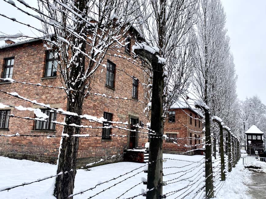 bild nr.16 av Från Wrocław: Guidad tur Auschwitz-Birkenau på en dagsutflykt aktivitet i Oswiecim, uppladdad av arrangören