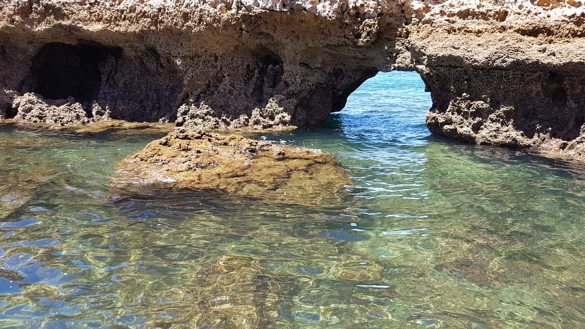 Immagine nº 23 di Lagos: tour della costa di Ponta da Piedade attività a Lagos, Portogallo, caricata dal fornitore