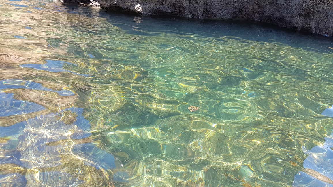Immagine nº 21 di Lagos: tour della costa di Ponta da Piedade attività a Lagos, Portogallo, caricata dal fornitore