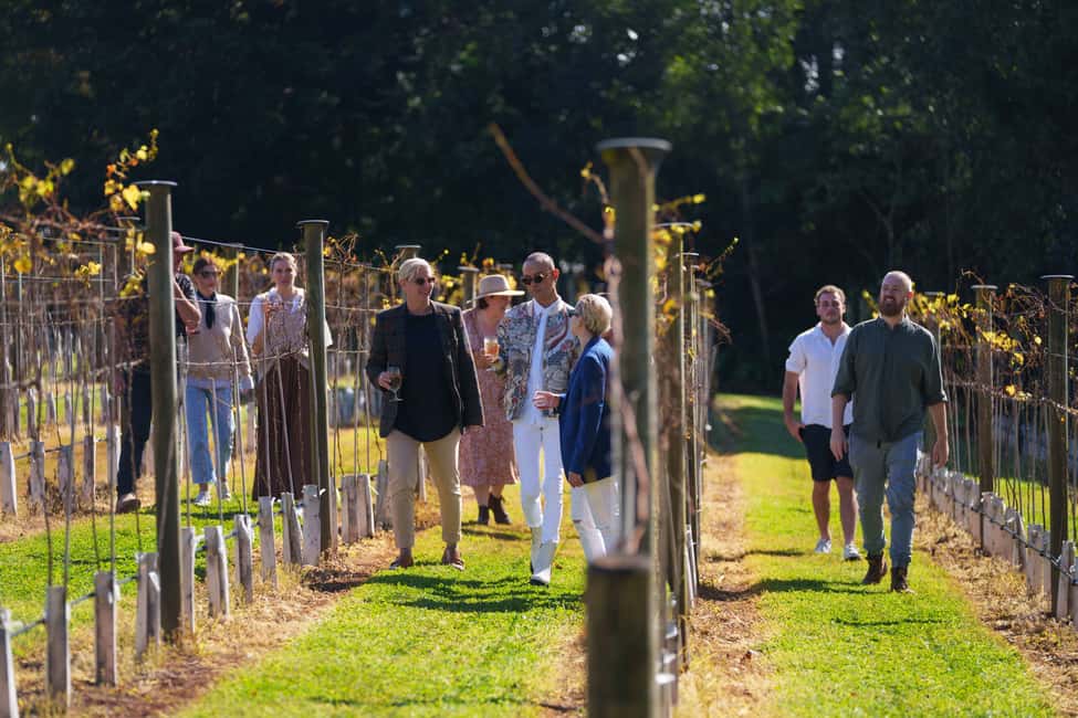 image n.5 of Brisbane: Tamborine Wine & Distillery Tour + 2 Course Lunch activity in Tamborine Mountain, uploaded by supplier