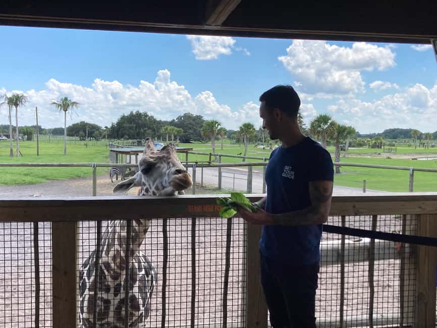bild n.4 av Orlando: Drive-Thru Safari Park i Wild Florida aktivitet i Florida, uppladdad av leverantör