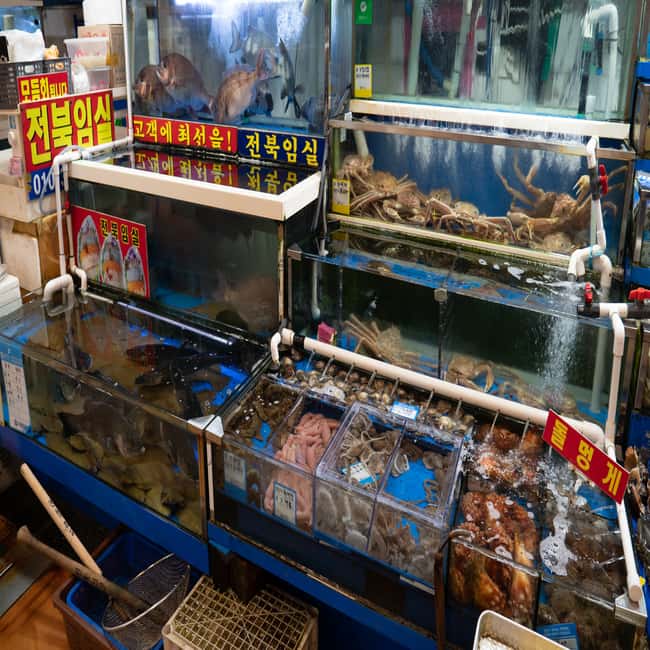 image n.7 of Seoul: The Biggest Sea-food Noryangjin Market Food Tour activity in Seoul, uploaded by supplier